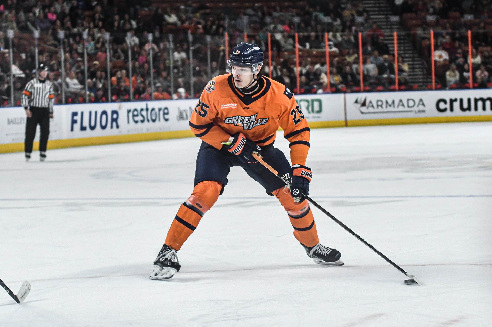 Acquired Greenville Swamp Rabbits